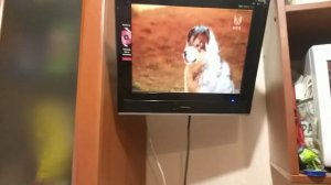 МОЯ ИДЕЯ? ОСВЕТЛЯЮСЬ Garnier Color Naturals 10 БЕЛОЕ СОЛНЦЕ?♀️