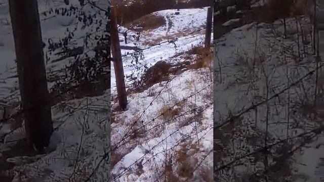 Подземные резервуары смотреть онлайн