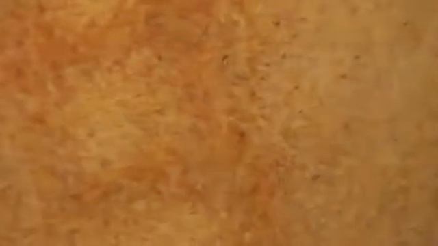 7 7 Артём Киракосов Мария ТУМАНОВА стихи Время Синих Огней 28 10 2018 Мастерская Рябичевых Москва В смотреть онлайн