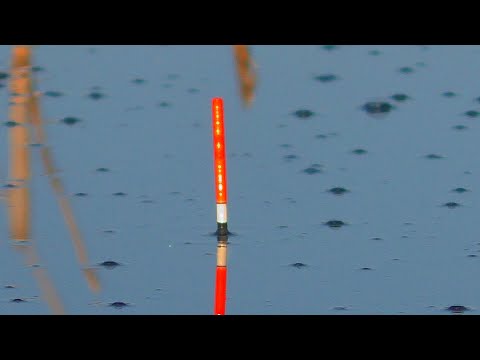 Рыбалка . Прикормил халвой . Ведро рыбы смотреть онлайн