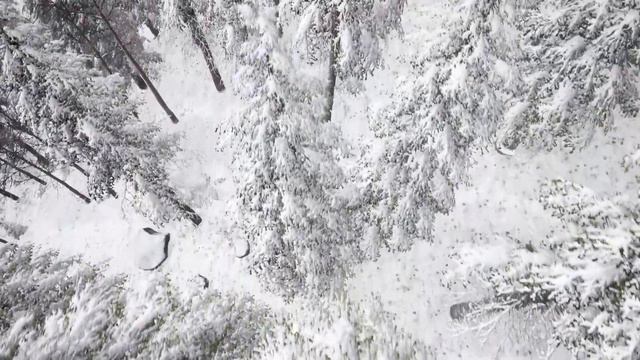 Тибетская флейта | Устраняет стресс, высвобождает мелатонин и токсины | Успокойте свой разум и душу смотреть онлайн