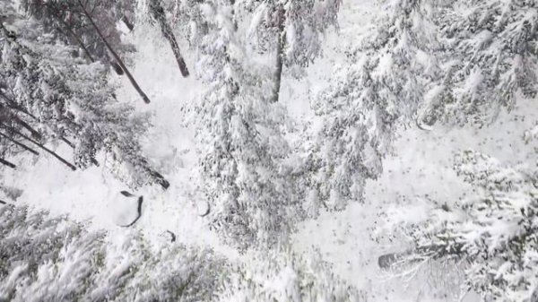 Тибетская флейта | Устраняет стресс, высвобождает мелатонин и токсины | Успокойте свой разум и душу