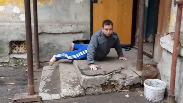 в мире животных-тюлень смотреть онлайн