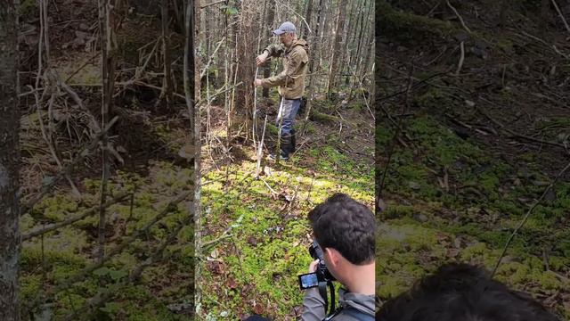 Продолжается реализация проекта СПбГЛТУ - Корень лесной науки (часть 2) смотреть онлайн