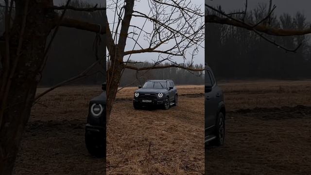 Скоро выйдет новое видео с Haval Dargo X #haval #dargox #havaldargoX смотреть онлайн