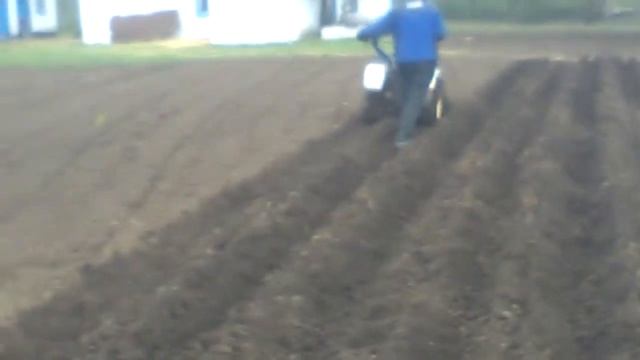 Посадка картофеля мотоблоком Заря ширина картофеля Аризона и Славянка и Малоросса смотреть онлайн