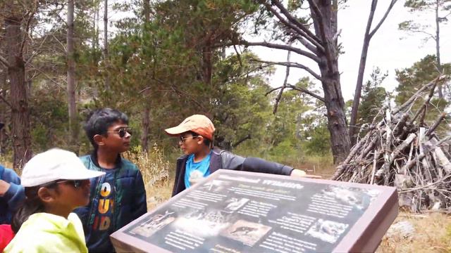 San Simeon Campground, Washburn Campground Loop, Seal Beach and Paso Robles - Light at Sensorio смотреть онлайн