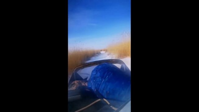 Полностью груженая аэролодка Торнадо маневрирует по узкой тропе среди зарослей камыша смотреть онлайн