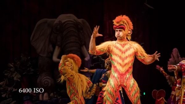 Nikon D7500 Review Powerful But Not Perfect