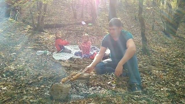 Пикник в осеннем лесу смотреть онлайн