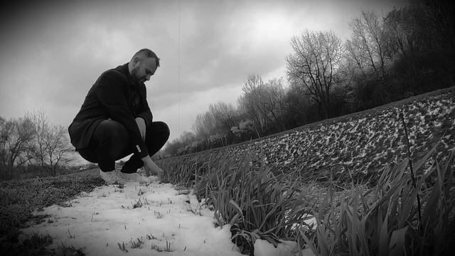 Dunavom - Željko Bebek cover by Matija Krnjak смотреть онлайн