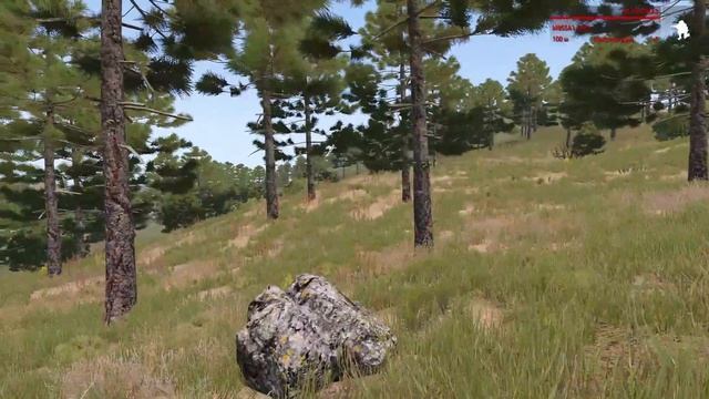 в мире животных