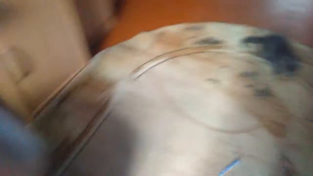 Смешные карты(1) смотреть онлайн