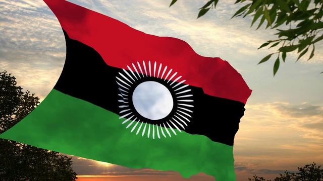 Флаг и гимн Малави (2010 - 2012) Flag and anthem of Malawi смотреть онлайн