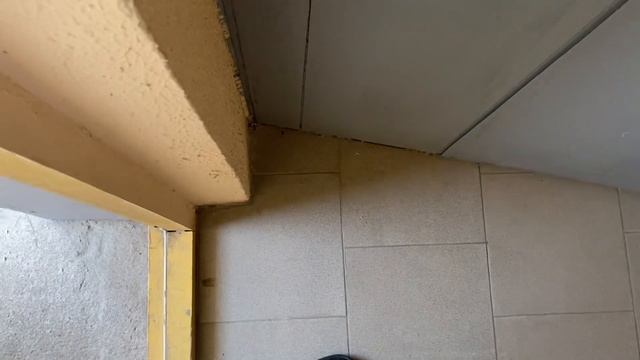 (036.0/300) Лифты OTIS NEVA 2013 г. 400 кг. ; 630 кг. / Острогожская 168/2 смотреть онлайн