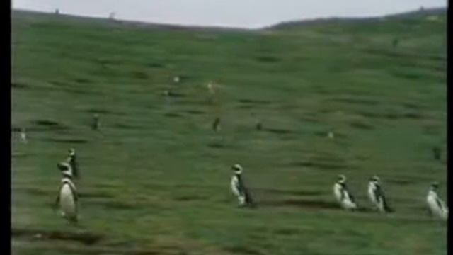 El Condor Pasa смотреть онлайн