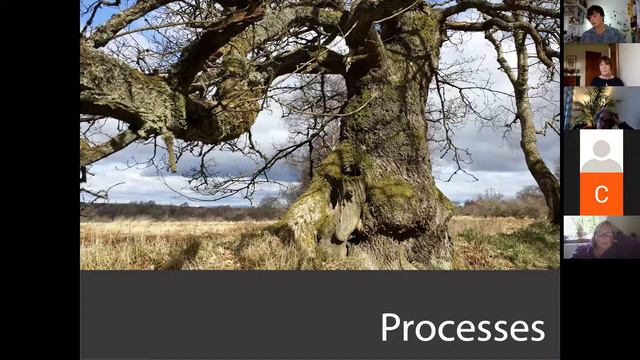 Tansy Lee Moir Out of the Wood Artist Talk смотреть онлайн