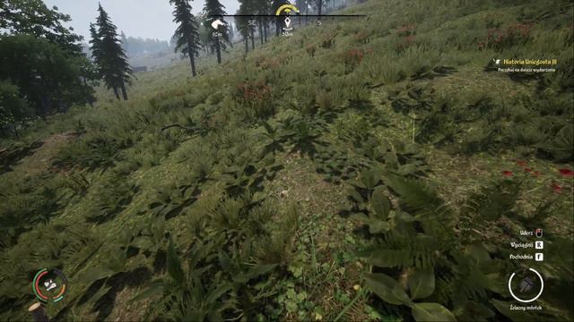 Medieval Dynasty - Jak Zacząć. Pierwsze Kroki - Poradnik PL