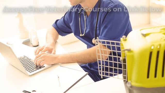 Veterinary Continuing Education Online смотреть онлайн
