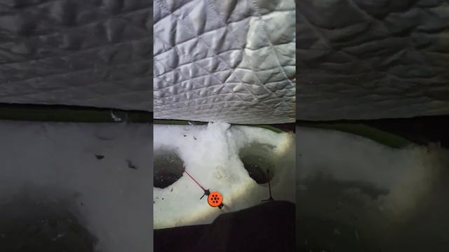С ночëвкой за лещем смотреть онлайн