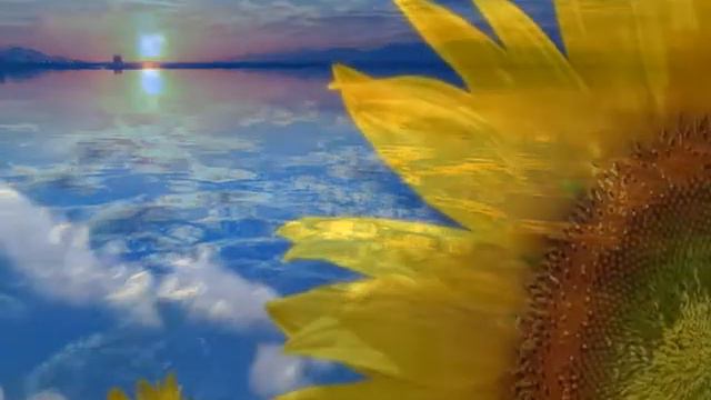 LOS OVELAR - AURORITA.avi смотреть онлайн