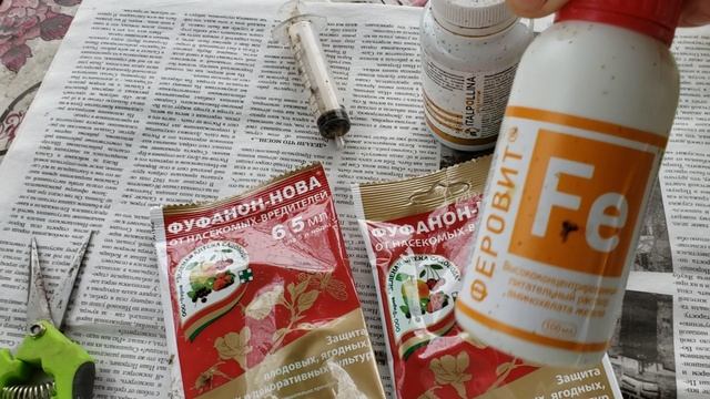 Обработка клубники от вредителей смотреть онлайн
