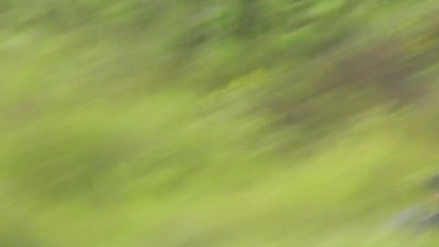 дачное лето 22г..mp4 смотреть онлайн