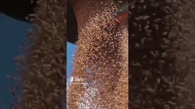 Что вам нравится в вашей работе больше всего? 😍 смотреть онлайн