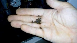 Пригород Лесное -  засор фильтра редуктора давления