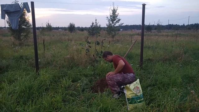 Часть 4. Посади дерево смотреть онлайн