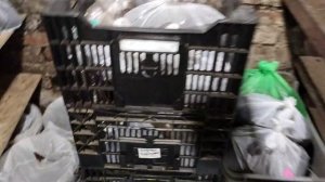 Как мы сохраняем корни пионов в зимнее время до весенней рассылки или посадки.