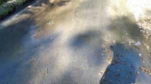 улица Лакербая сухум абхазия идем вверх по улице дорога в горы / Абхазия Сухум лето Август 2021