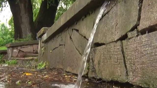 В заброшенном симферопольском пруду на Данилова чистая вода смотреть онлайн