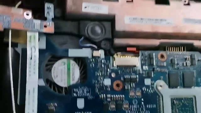 Берегите гнёзда свои смотреть онлайн