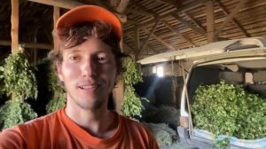 300 веников за 6 часов|заработок на вениках| сельский бизнес