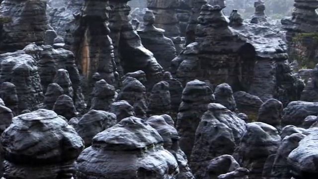 Гвианское плоскогорье смотреть онлайн