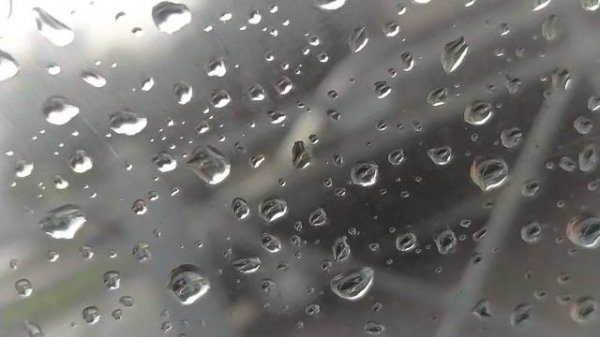 VID20230506152737.mp4