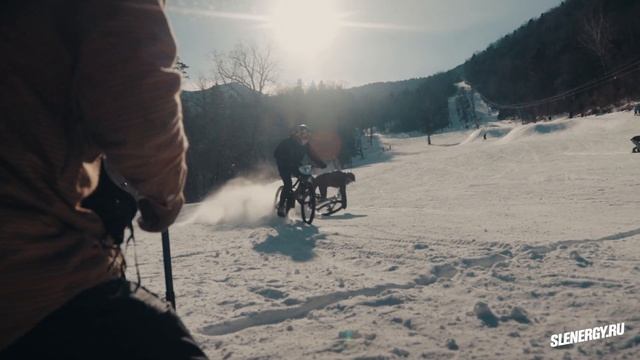 Фееричная велогонка 2020 смотреть онлайн