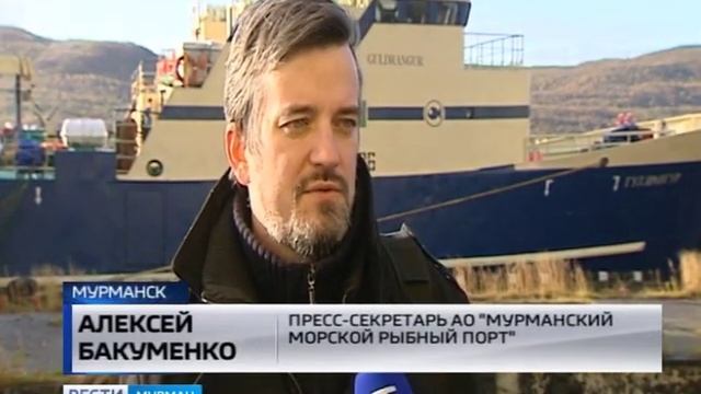 Ударные показатели. Холодильные мощности Мурманского морского рыбного порта заполнены креветкой
