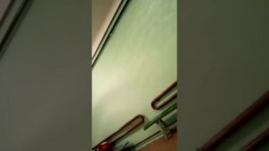 Школьник разделся и бегал голым