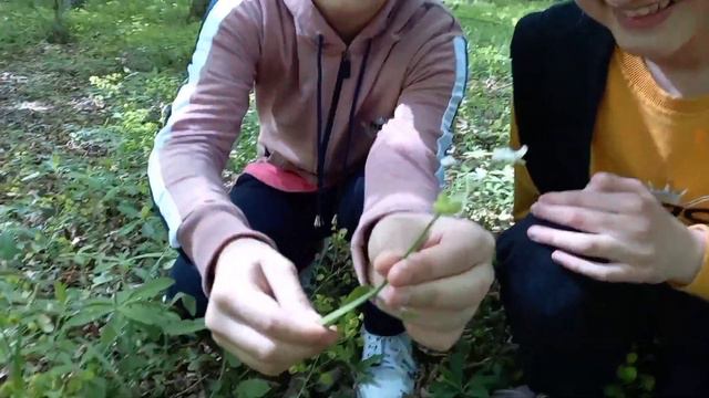 Ждали 2-ую часть? Экскурсия по Яламе в лесу смотреть онлайн