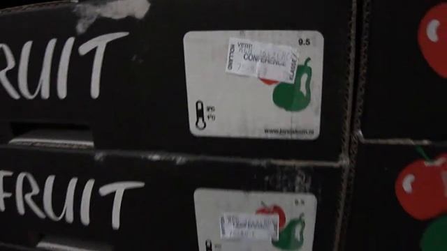 Груша Конференция 75-85 (однорядка) смотреть онлайн