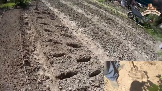 Посадка картофеля смотреть онлайн