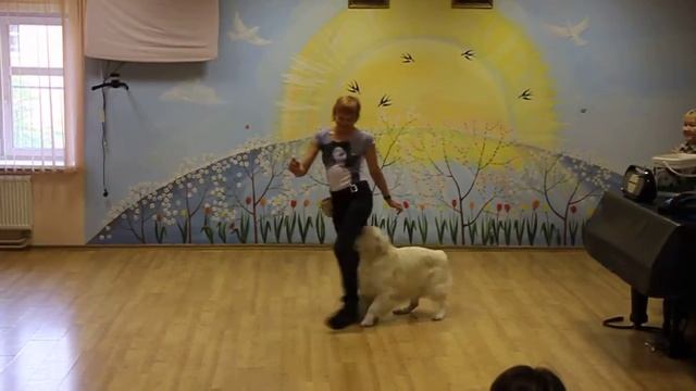 Оля Нечаева и Руняша, детский дом "Благо", Одинцово, 29.09.2013 смотреть онлайн