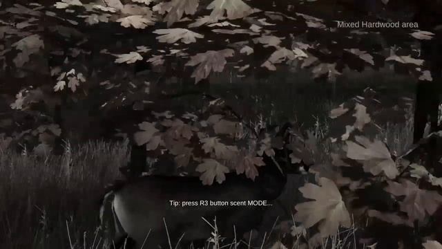 Possibly the worst game I've ever played (Deer Simulator) смотреть онлайн