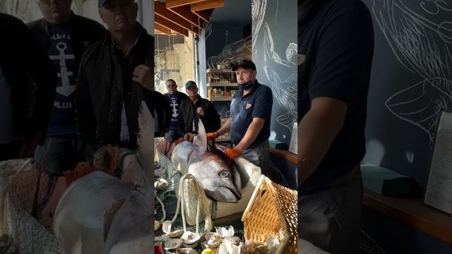 Прямой эфир с разделки Желтоперого Тунца весом 100 кг в ресторане Флагман Одесса! смотреть онлайн