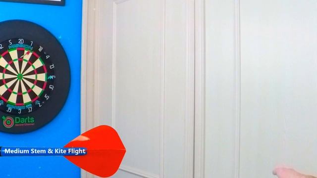 Target DIMITRI VAN DEN BERGH GEN 2 Darts Review смотреть онлайн