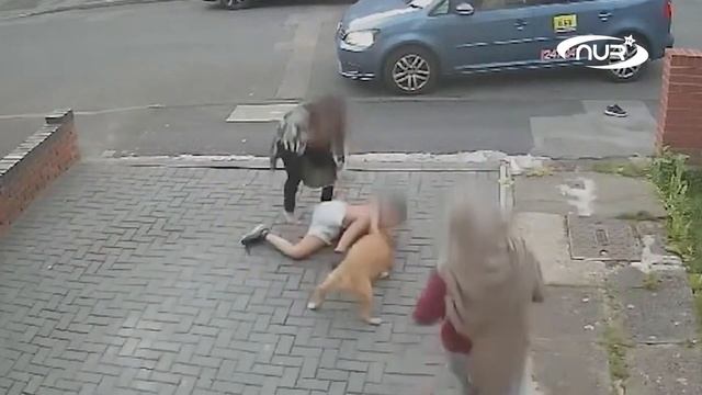НАПАДЕНИЕ НА МУХАММАДА! Власти ЭТО сделали?! смотреть онлайн