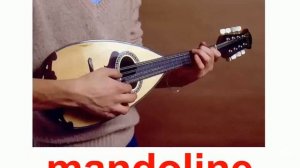 How to teach Kid to read | Musical instruments  Glenn Doman Card Vocabulary Flash Card English teac