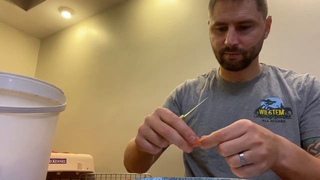 Collecting and Saving Jalapeno Seeds смотреть онлайн